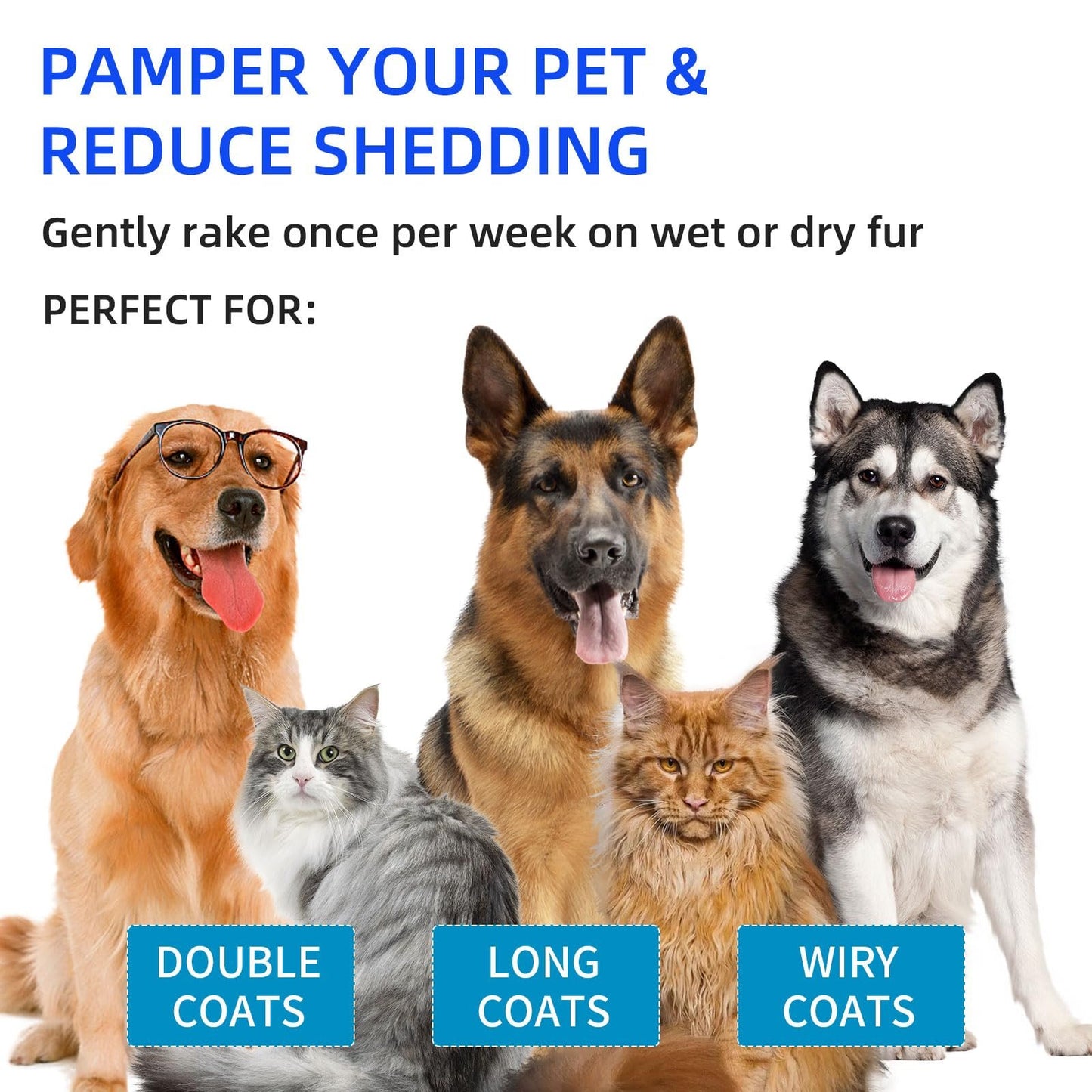 🔥Pet Spray Hair Removal Comb🐶