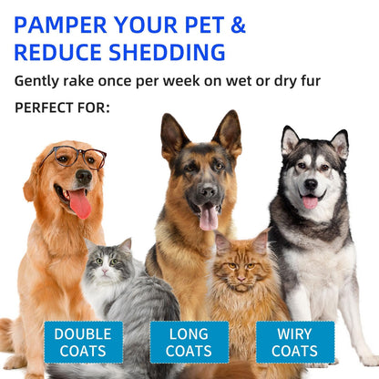 🔥Pet Spray Hair Removal Comb🐶