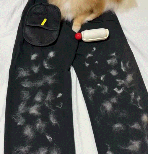 🔥Pet Spray Hair Removal Comb🐶